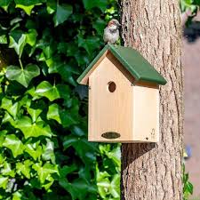 Help de Huismussen: Plaats een Mussenkast voor Vogelbescherming!