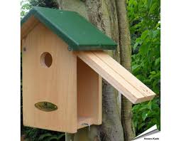 Steun de Huismus: Plaats een Nestkast en Help Vogelbescherming
