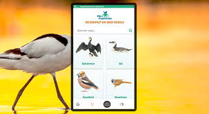 Ontdek de Pracht van Vogels met de Online Vogelgids van Vogelbescherming