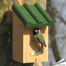 Vogelbescherming: Optimaliseer het Broedsucces van Koolmezen met een Nestkast