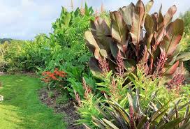 Prachtige Tuinplanten: Groen Leven in Jouw Tuin