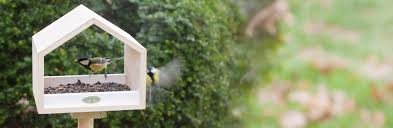 Haal meer vogels naar je tuin met een voederhuisje!