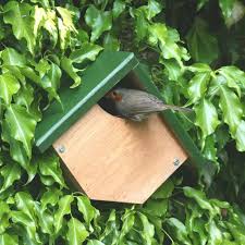 Creëer een Veilig Thuis: Nestkastje voor de Roodborst