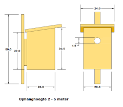 Optimaliseer het Broedsucces van Koolmezen met een Nestkast in je Tuin