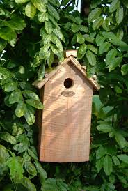 Creëer een Welkom Thuis voor de Koolmees met een Vogelhuisje