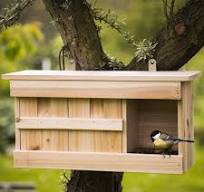 Ontdek de Magie van het Mussen Vogelhuisje in Jouw Tuin