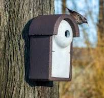 Creëer een Welkom Thuis voor de Spreeuw met een Nestkast in uw Tuin