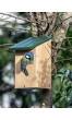 Creëer een Welkom Thuis voor Koolmezen met een Vogelhuis