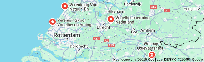 Bescherming van Vogels: De Rol van Vogelbescherming NL