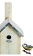 Creëer een Welkom Thuis voor Mussen met een Vogelhuisje