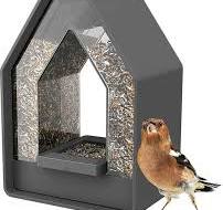 Geniet van Kleurrijke Bezoekers met een Voederhuisje voor Kleine Vogels