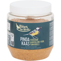 Ontdek het Ruime Assortiment van AH Vogelvoer voor Gezonde Vogels