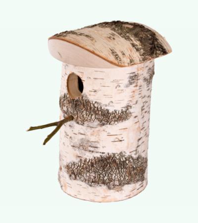 Ontdek de Schoonheid van een Groot Vogelhuisje in Jouw Tuin