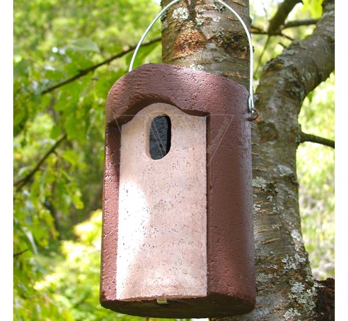 Ontdek de Voordelen van een Houtbeton Nestkast voor Tuinvogels