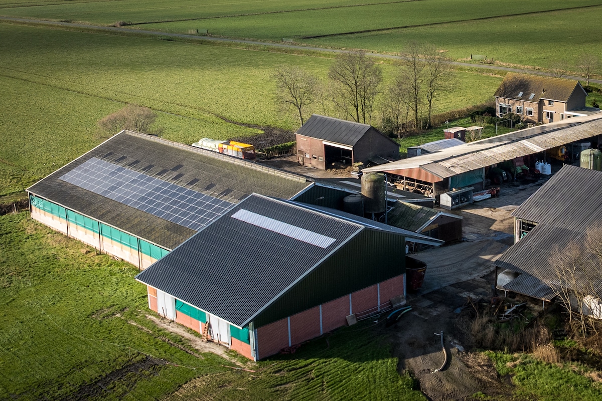Samen voor de Natuur: De Kracht van een Natuurvereniging