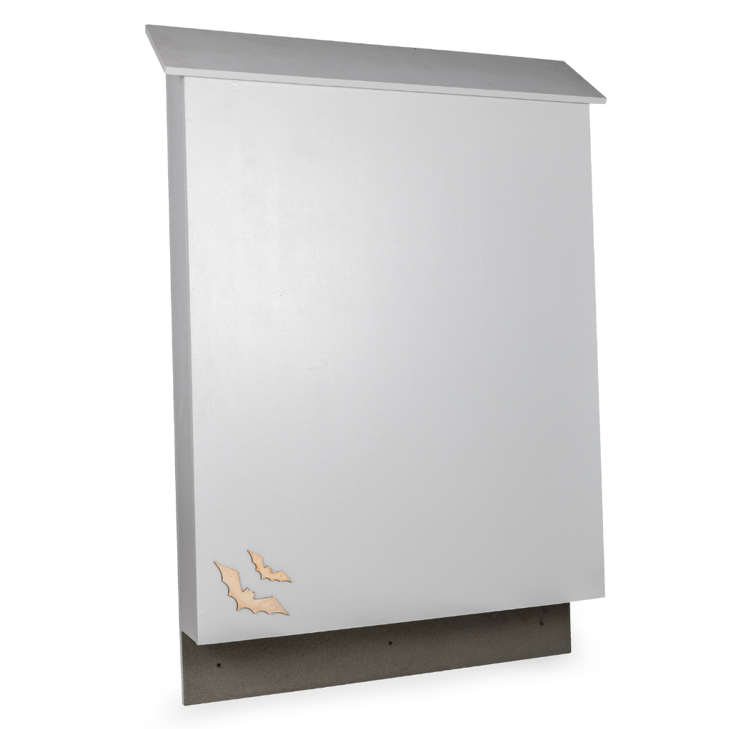 Creëer een Veilige Haven: Nestkast voor de IJsvogel