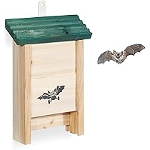 Optimale Nestkasten voor Parkieten: Een Veilige Haven voor Jouw Gevederde Vrienden