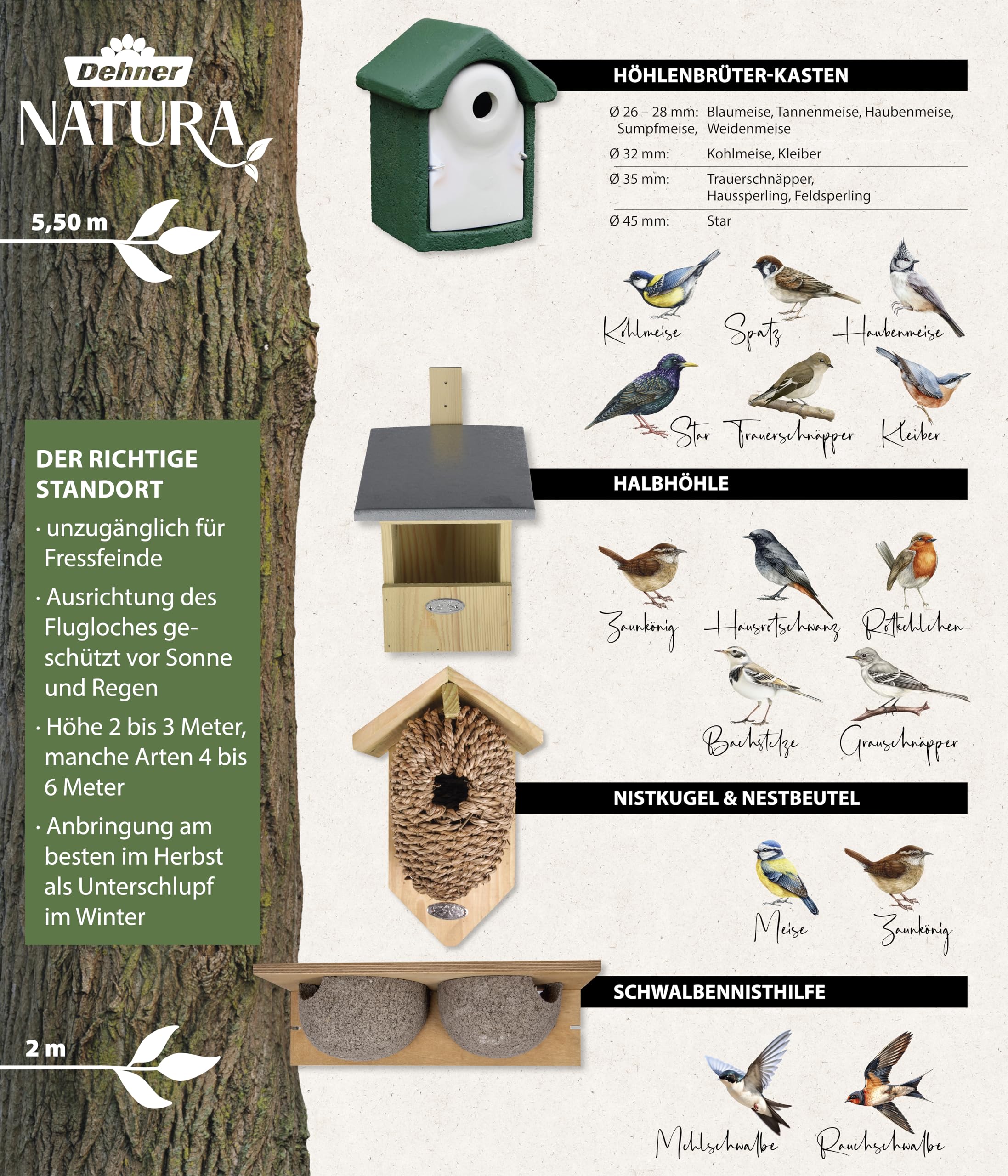 Creëer een Vogelvriendelijke Tuin met Nestkasten voor Vogels