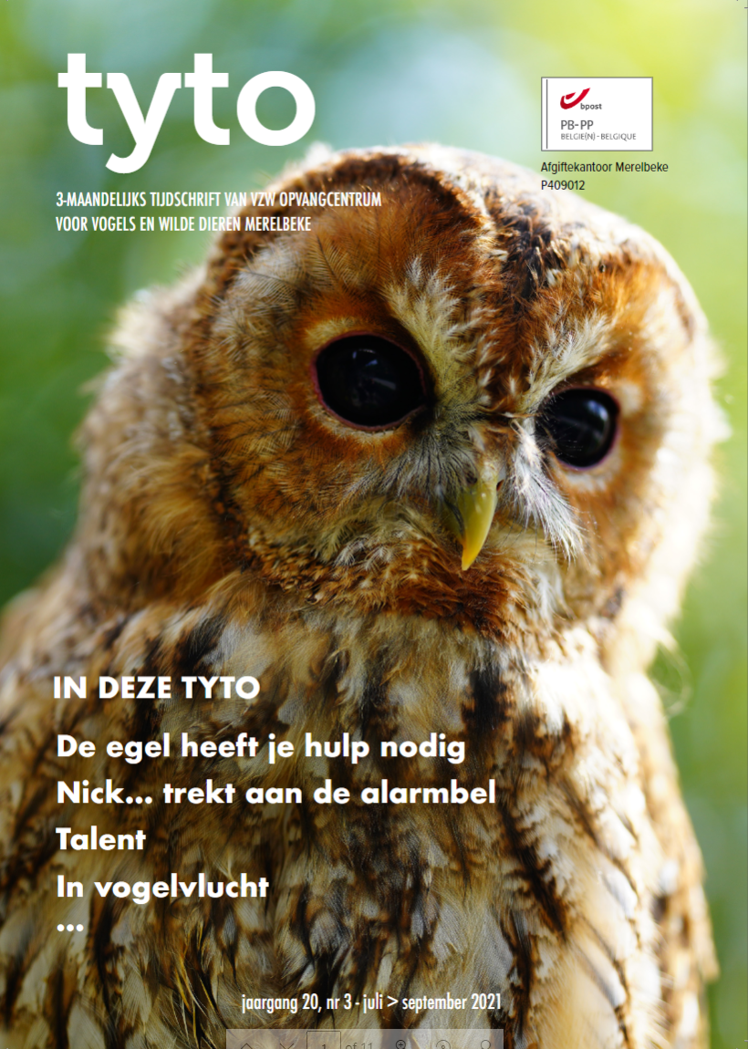 vogelbescherming lidmaatschap