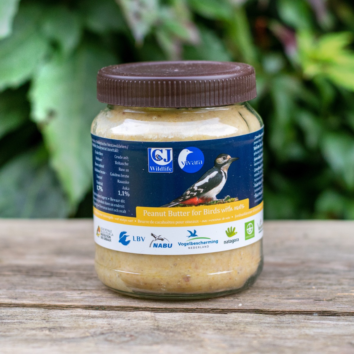 Vogelvoer en Vogelbescherming: Help Onze Gevederde Vrienden Gedijen