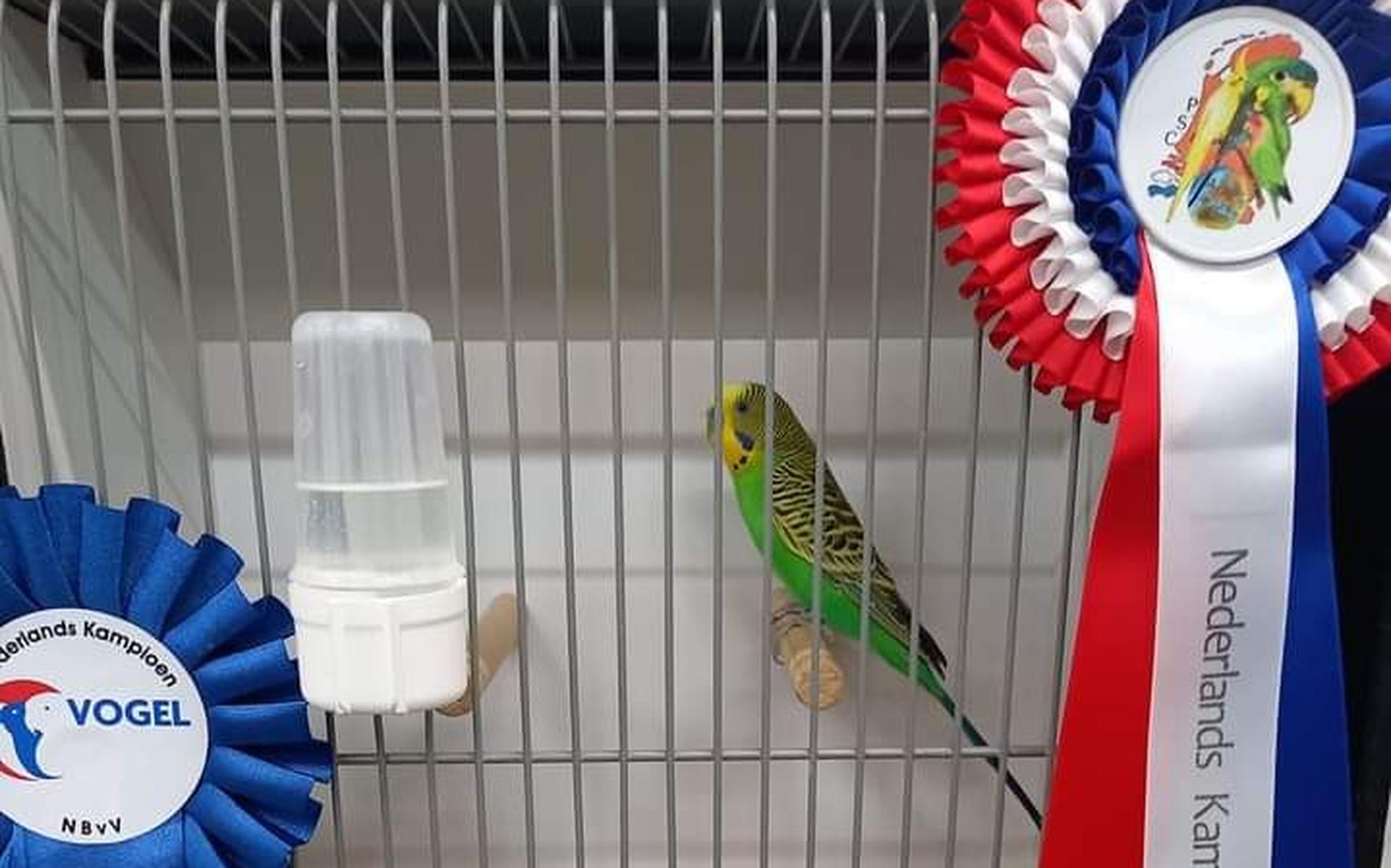 Samen op ontdekkingstocht met onze Vogelvrienden