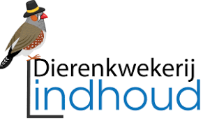 Samen op ontdekkingstocht met onze Vogelvrienden