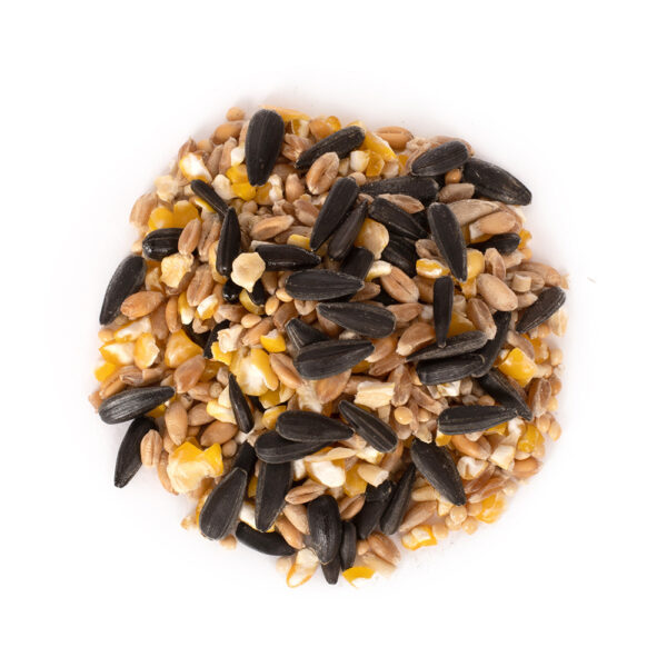 Wibra Vogelvoer: Verwen Onze Tuinvogels Met Lekkernijen!