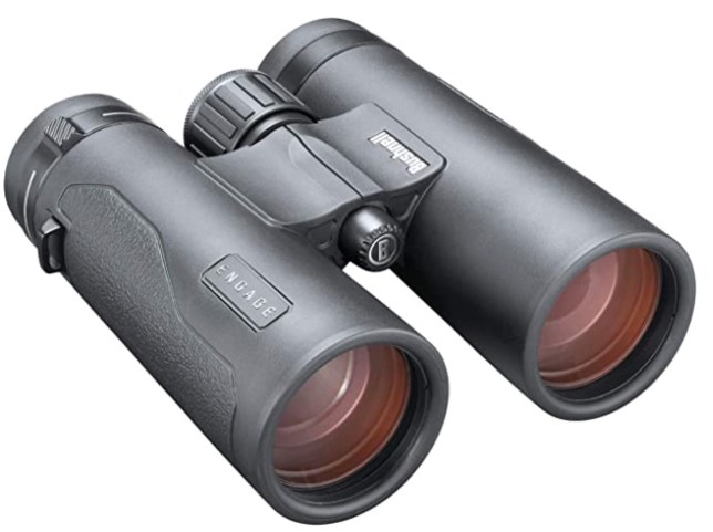 Ontdek de beste kleine verrekijker voor vogelspotters in Nederland