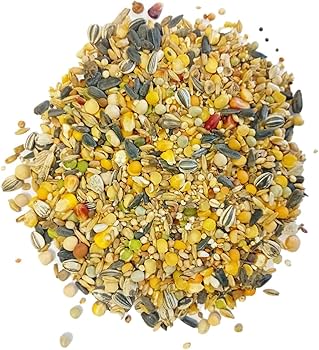 Voedzame Verwennerij: Strooivoer in Handige 20kg Verpakking