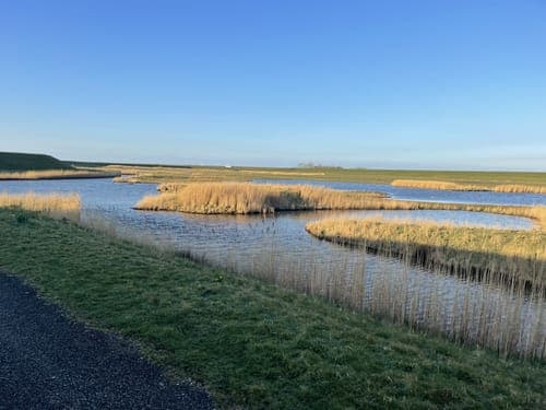 Ontdek de Magie van het Vogelkijkpunt: Een Venster naar de Vogelwereld