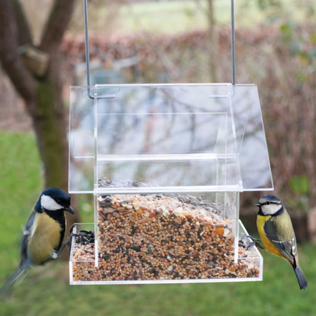 Verwelkom kleine vogels met vogelvoederhuisjes in je tuin