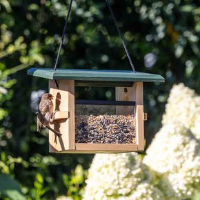 Prachtige houten voederhuisjes voor vogels: een welkome toevoeging aan je tuin