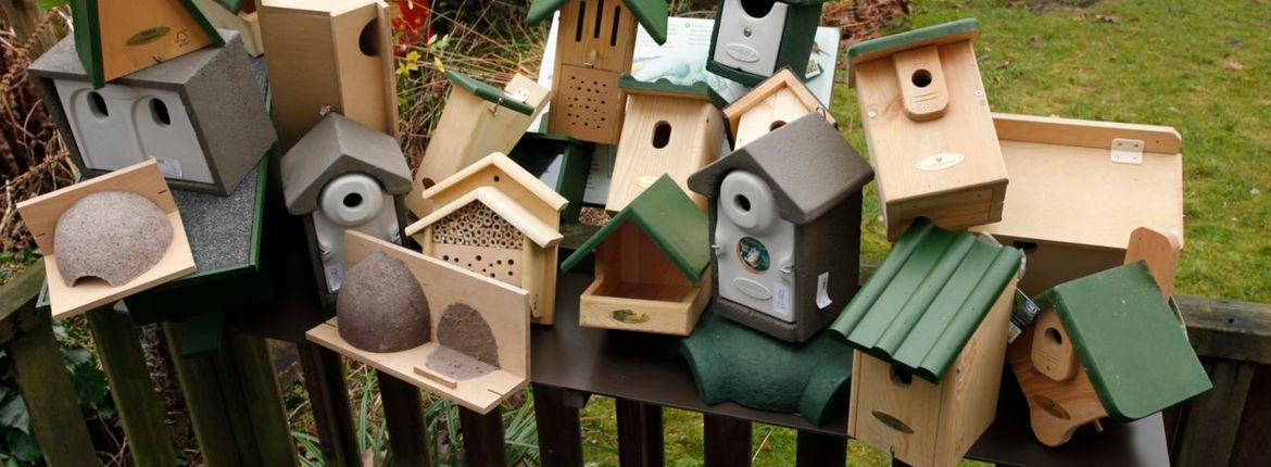 Vogelbescherming: Vogelhuisjes als Veilige Haven voor Onze Gevederde Vrienden