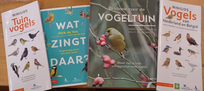 Ontdek de Pracht van Tuinvogels met een Vogelgids