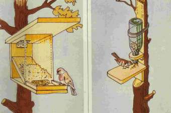 Maak je Eigen Vogelparadijs: Bouwtekening voor een Voederhuisje