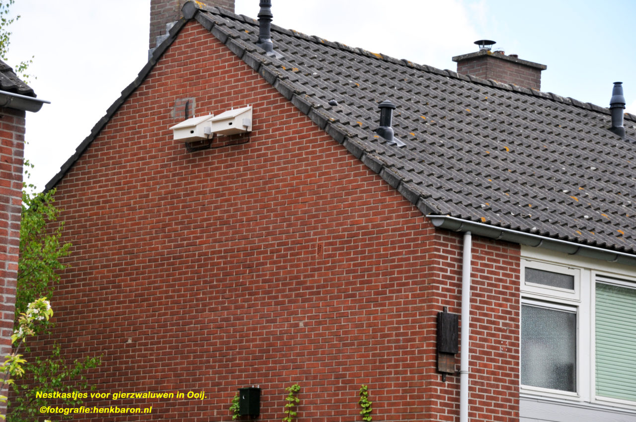Creëer een Veilig Thuis voor Gierzwaluwen met een Gierzwaluw Kast