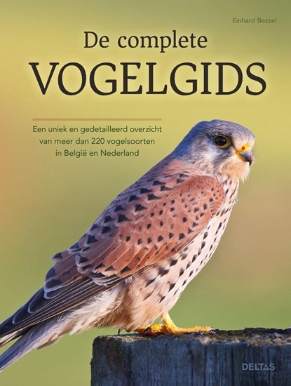 Beste vogelgids: ontdek welke gids bij jou past
