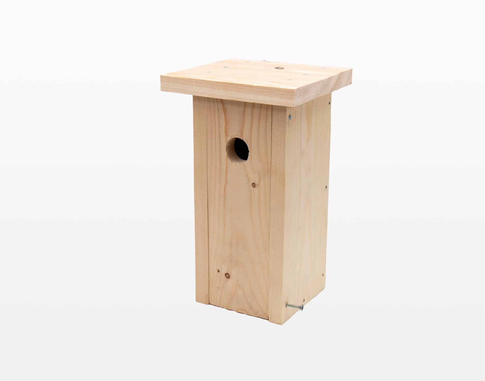 Koolmees, pimpelmees en nestkast: zo kies je de juiste plek en maat