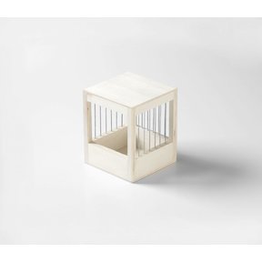 Nestkastjes voor zebravinken: zo kies je een veilige en geschikte nestplek